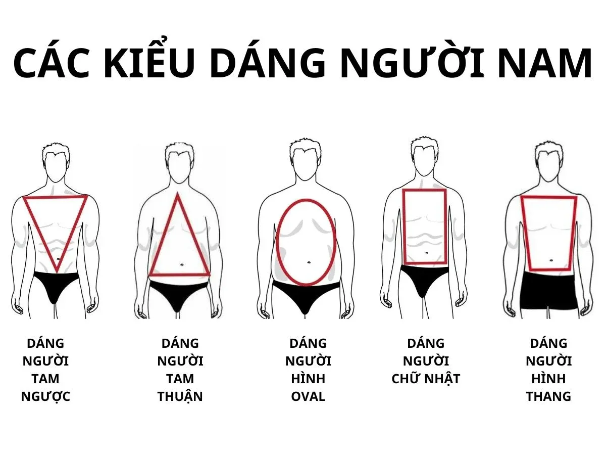 Gợi Ý Chọn Đồ Cho Từng Dáng Người (Nam)**